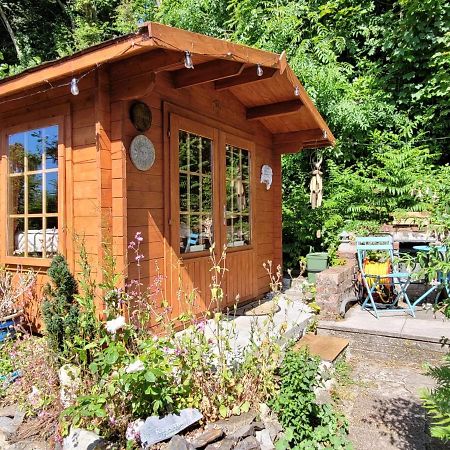 Tan Y Coed'S Rosemary Cabin Conwy Exteriör bild