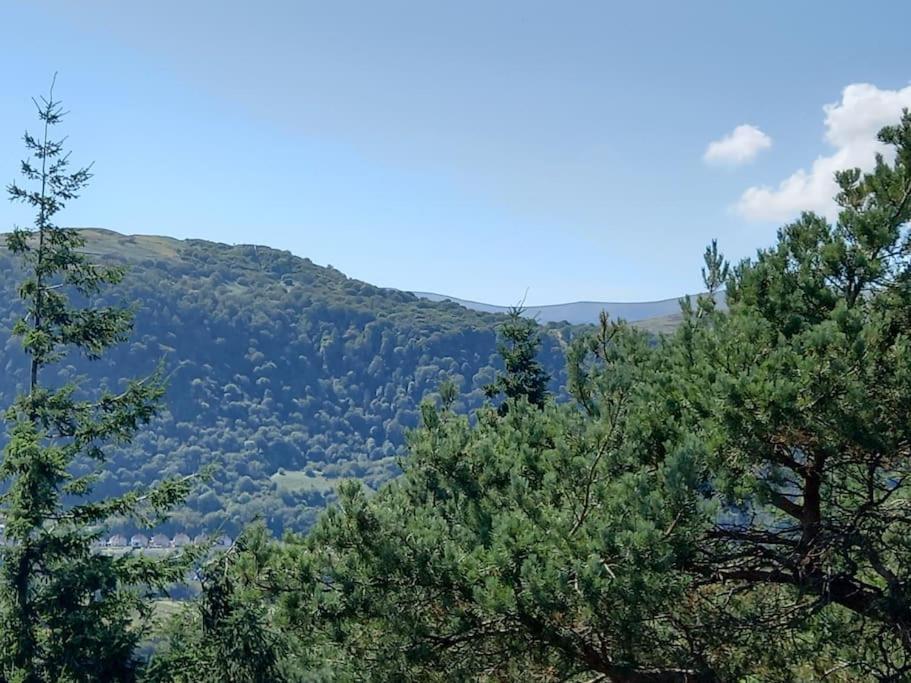 Tan Y Coed'S Rosemary Cabin Conwy Exteriör bild