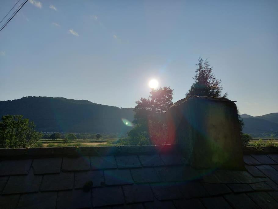 Tan Y Coed'S Rosemary Cabin Conwy Exteriör bild