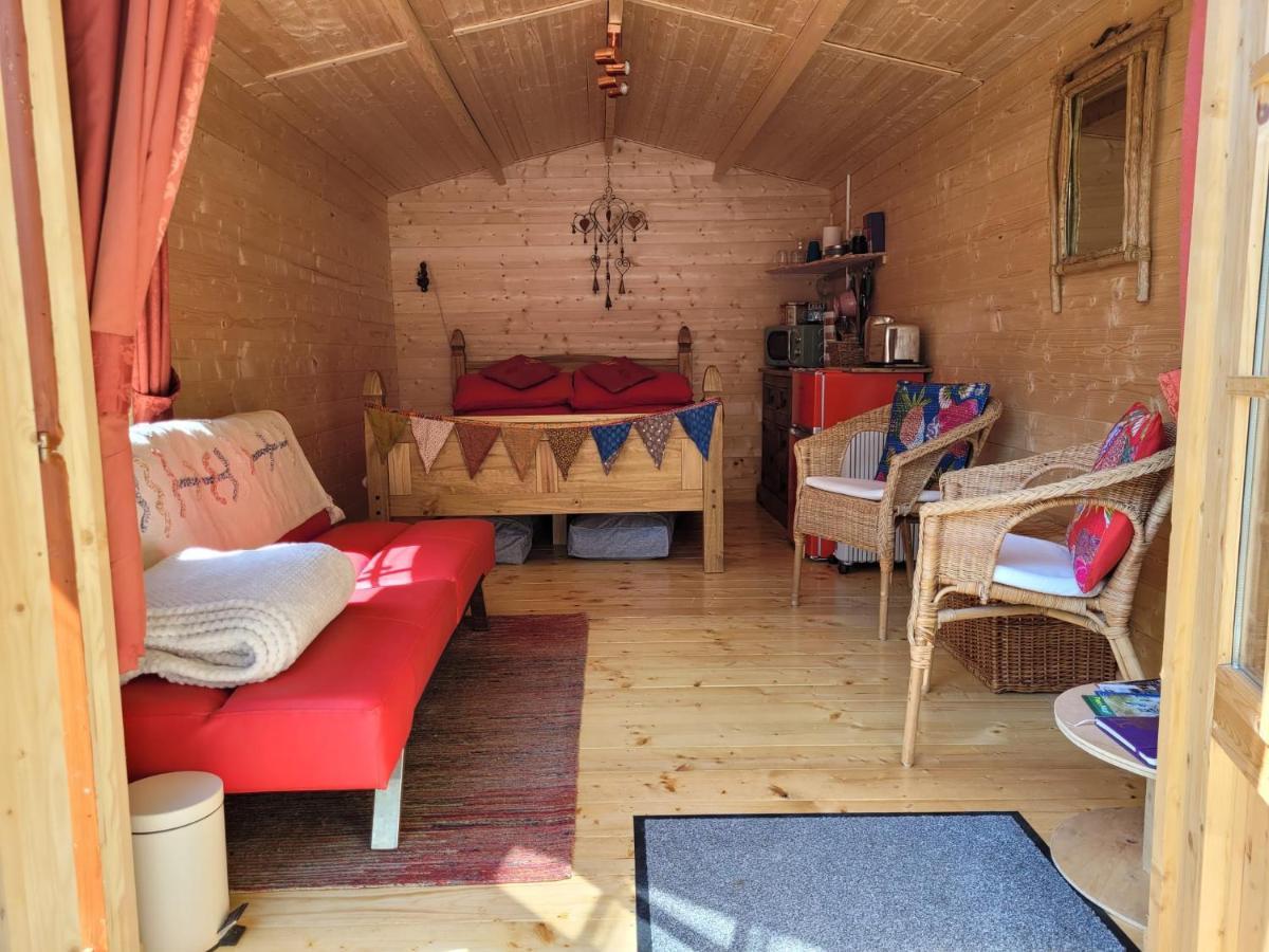 Tan Y Coed'S Rosemary Cabin Conwy Exteriör bild